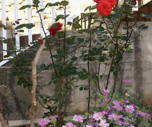 公寓 By The Sea - Perna, Peljesac - 4544