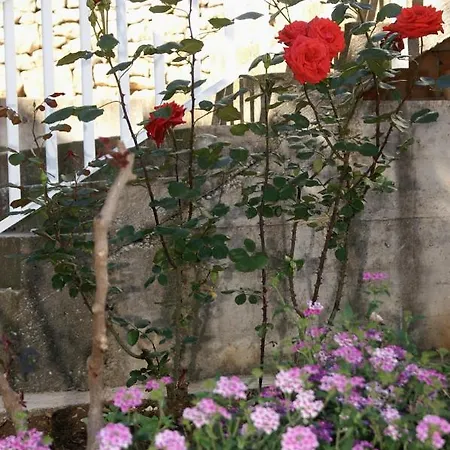 Appartement By The Sea - Perna, Peljesac - 4544